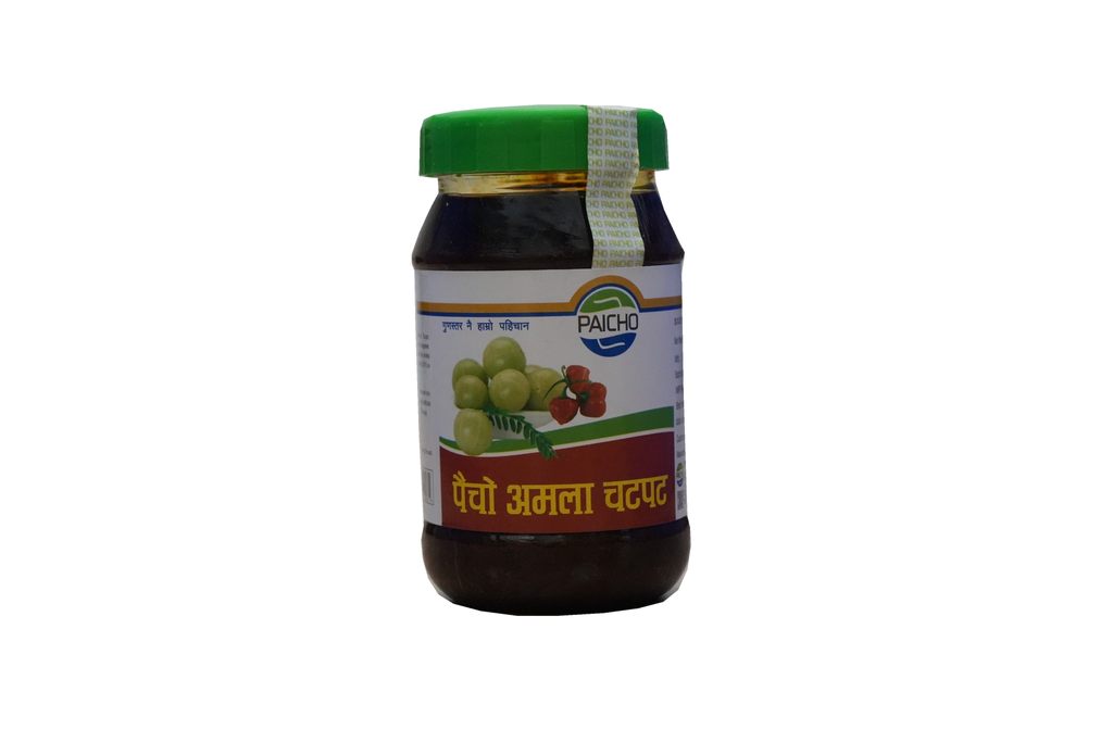 PAICHO AMALA CHATPAT PICKLE 400G